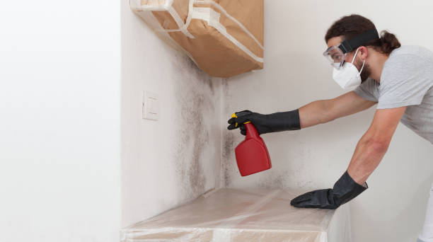 Professional Bathroom Mold Removal technician working in Belvidere, IL